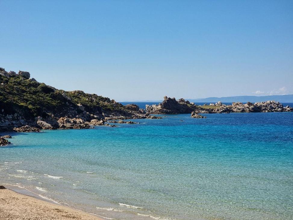 La Stella Azzurra Sul Mare Daire Santa Teresa Gallura Dış mekan fotoğraf